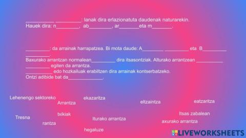 1.sektorea birpasatzeko