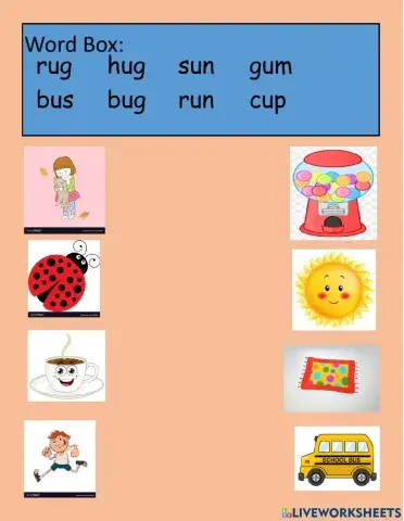 Matching Short u Words