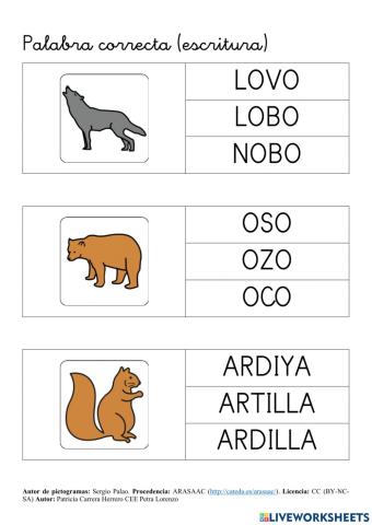 SA Animales. Vocabulario del bosque