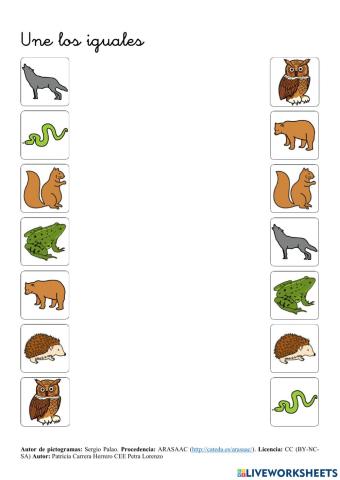 SA Animales. Iguales