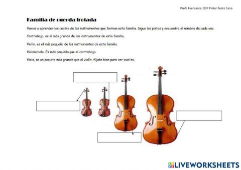 Familia de cuerda frotada
