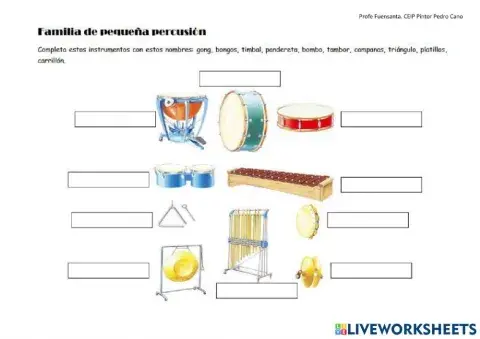 Familia pequeña percusión