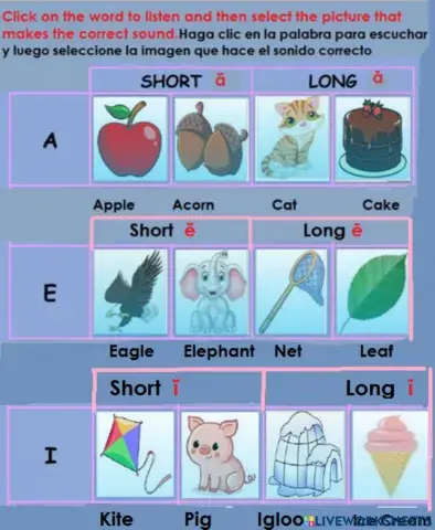Short and long Aa,Ee and Ii
