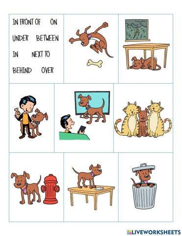 Prepositions with puppy