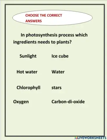 Photosynthesis2