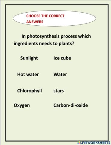 Photosynthesis2