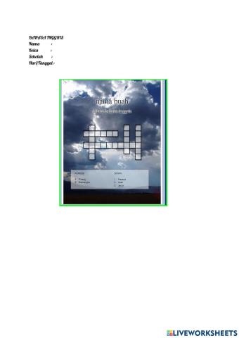 Nama Buah Dalam Bahasa Inggris