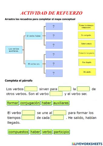 Practicando lo aprendido: Clases de verbos