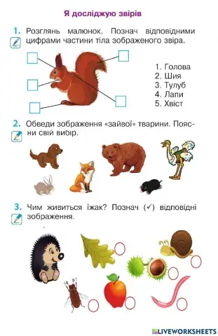 Я дослідую звірів