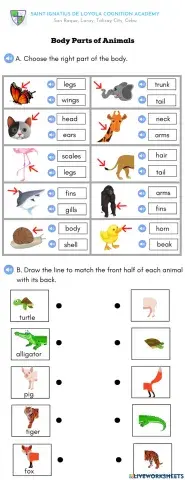 Body Parts of Animals