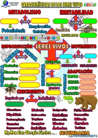 Spb-seres vivos características