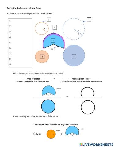 Discover Surface Area of Cones