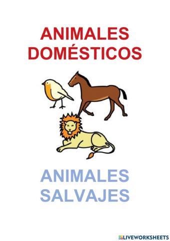 Animales domésticos y salvajes