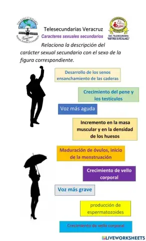 Caracteres sexuales secundarios