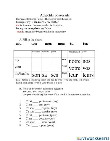 Adjectifs possessifs