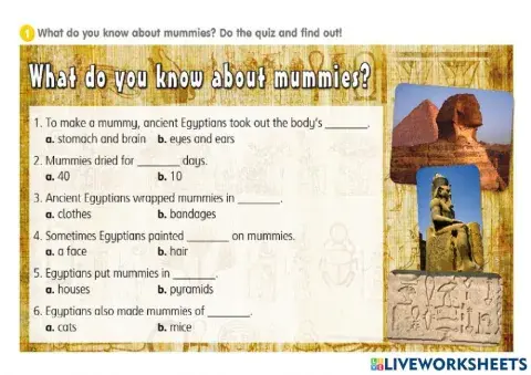 What do you know about mummies?