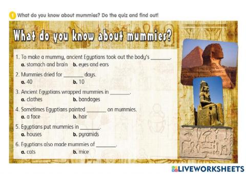 What do you know about mummies?