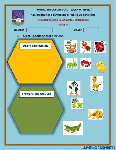 Animales vertebrados e invertebrados