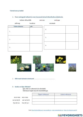 Tähestikuline järjekord, liitsõnad, silbitamine
