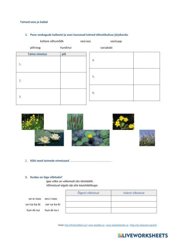 Tähestikuline järjekord, liitsõnad, silbitamine