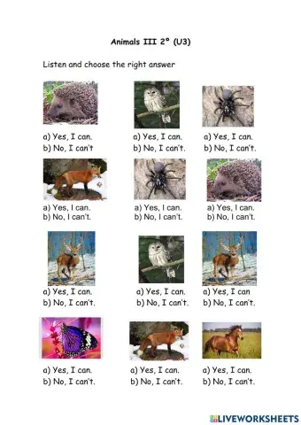 Animales III 2º U3