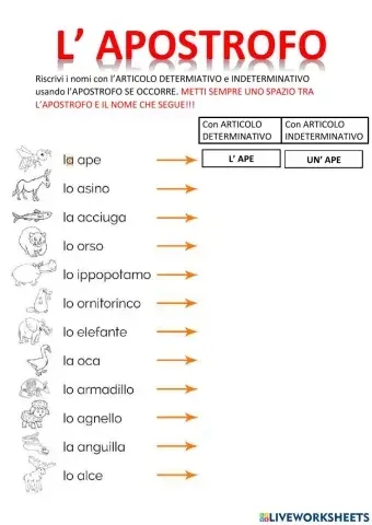 Articoli e apostrofo