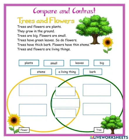 Compare and Contrast Venn 3 DJ