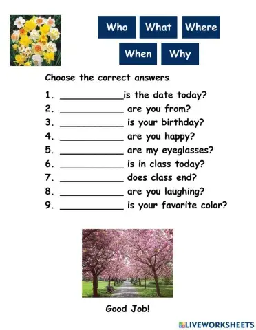 The Question Words starting with Wh