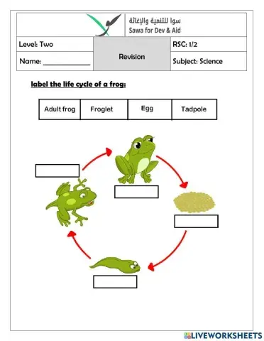 The life cycle of a frog