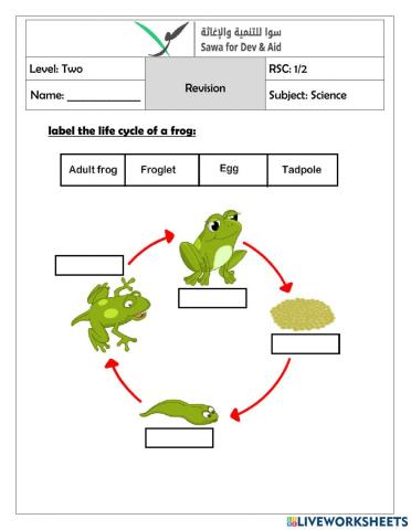 The life cycle of a frog