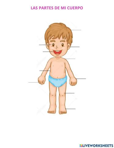 Las partes de mi cuerpo