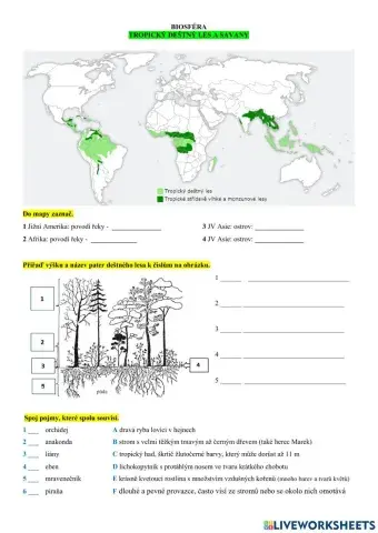 Z6 Biosféra - TDL a Savana