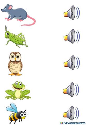 Sonidos animales del bosque