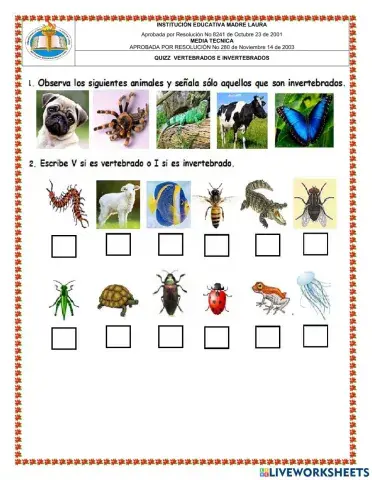 vertebrados e invertebrados