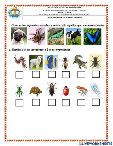 vertebrados e invertebrados