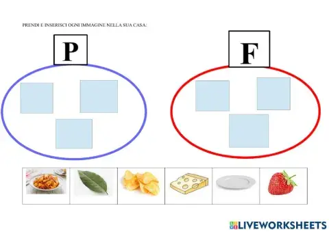 Prendi e inserisci ogni immagine nella sua casa