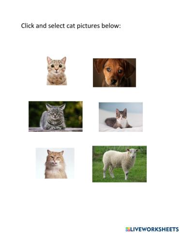 Select and click cat pictures