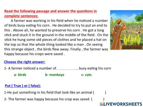 Reading comprehension