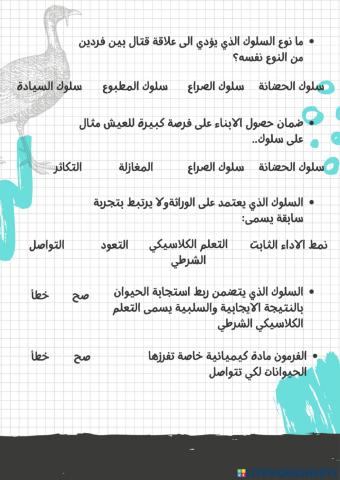 سلوك الحيوان