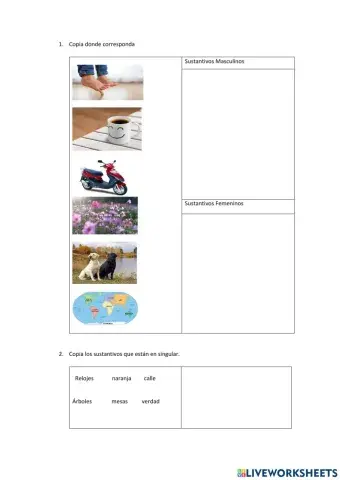 Categorias gramaticales