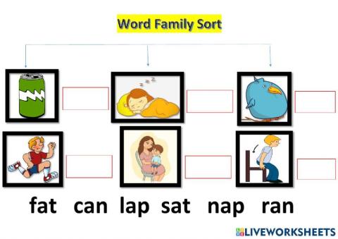At,an,ap words + sight words sentence building