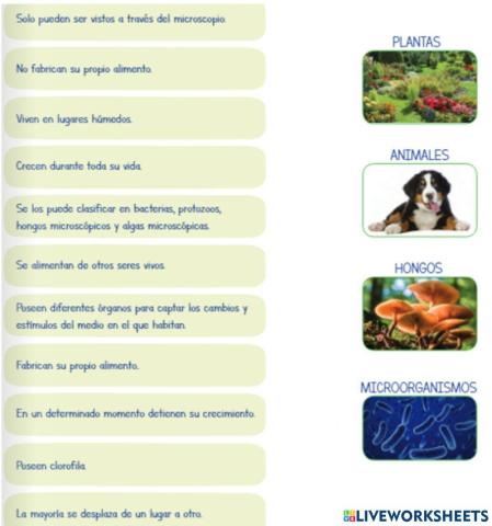 Clasificación de seres vivos