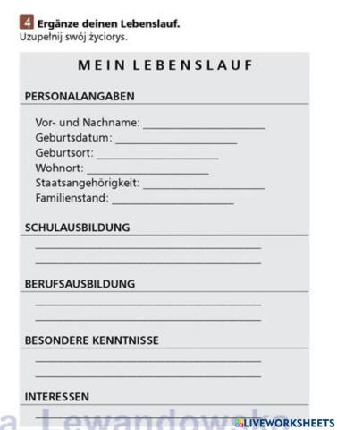 Lebenslauf