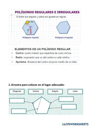 Polígonos regulares e irregulares