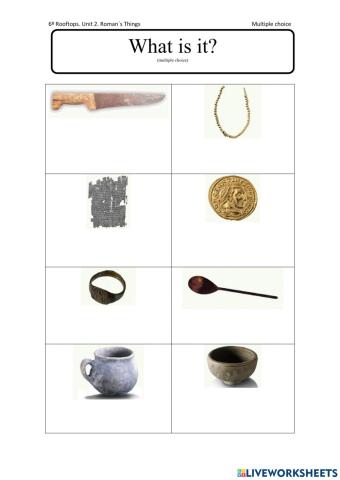 Vocabulary. Roman's things.