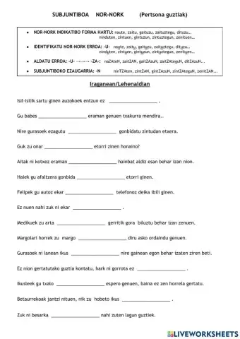 Subjuntiboa nor-nork (pertsona guztiak)II