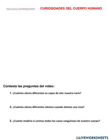 Curiosidades del Cuerpo Humano