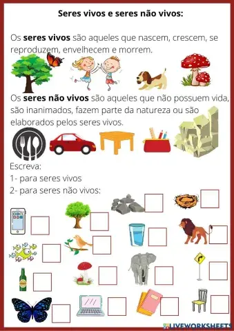 Seres vivos e não vivos