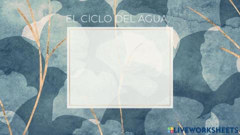El ciclo del agua