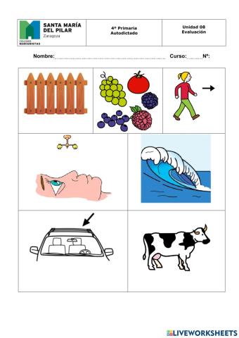 Autodictado homófonas